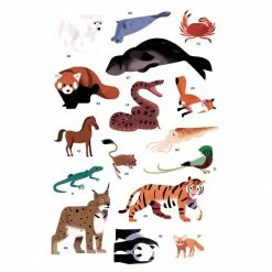 Poppik Póster Educativo De Pegatinas Animales Del Mundo 12 Poppik Póster Educativo De Pegatinas Animales Del Mundo
