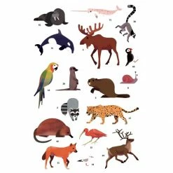 Poppik Póster Educativo De Pegatinas Animales Del Mundo 13 Poppik Póster Educativo De Pegatinas Animales Del Mundo