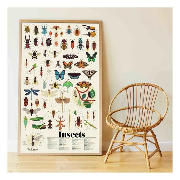 Poppik Poster De Pegatinas Insects 1 Poppik Poster De Pegatinas Insects