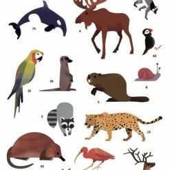 Poppik Poster De Pegatinas Animals Of The World