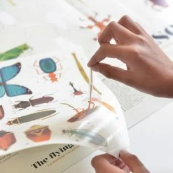 Poppik Insects Educational Sticker Poster + 44 Stickers