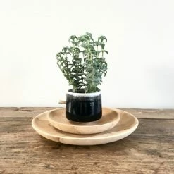 Muubs Large Astrid Teak Plate