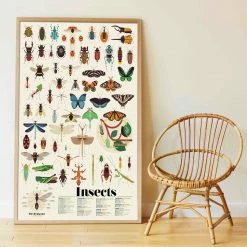 Poppik Insects Educational Sticker Poster + 44 Stickers