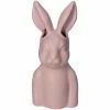 Melting Pot Amsterdam Vaasje Paashaas Van Fijn Aardewerk Roze 9x9x21.5cm